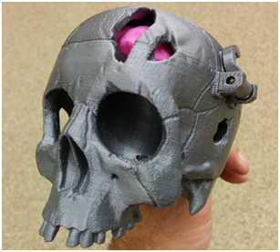 3D Printed Skull